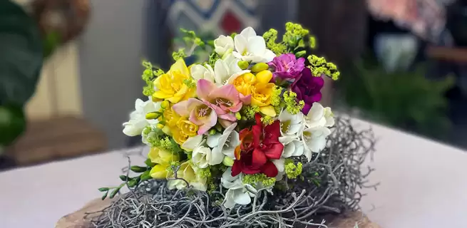 Freesia - Growing, care and use in floral arrangements
