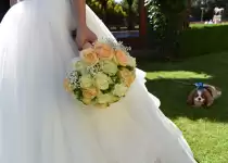 How to choose flowers for a wedding bouquet?